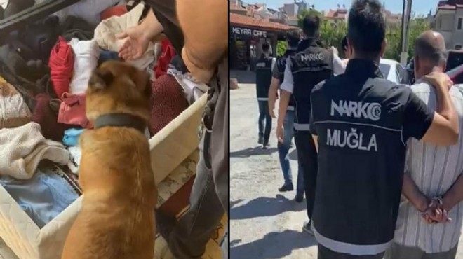 Narkotik köpeği Naz'dan kaçmadı.. 4 tutuklama!