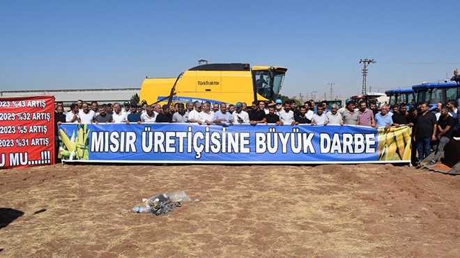 Oda başkanları TMO’ya tepkili… Mısır üreticisinin ölüm fermanı!