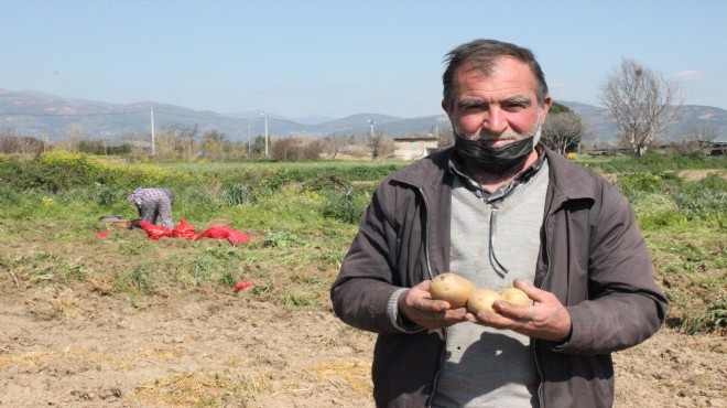 Ödemişli patates üreticileri, TMO alımına hazırlanıyor