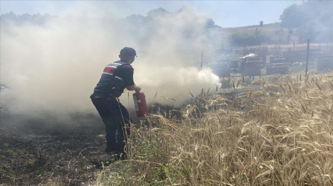 Otluk alanda yangın çıktı: Jandarma söndürdü!