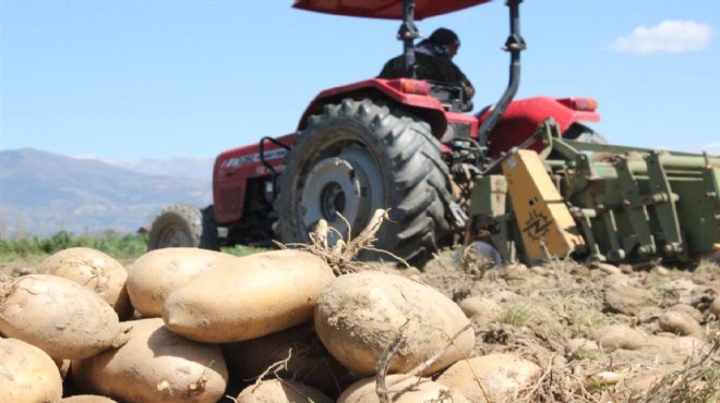 Patates müjdesi Ödemişli üreticileri mutlu etti