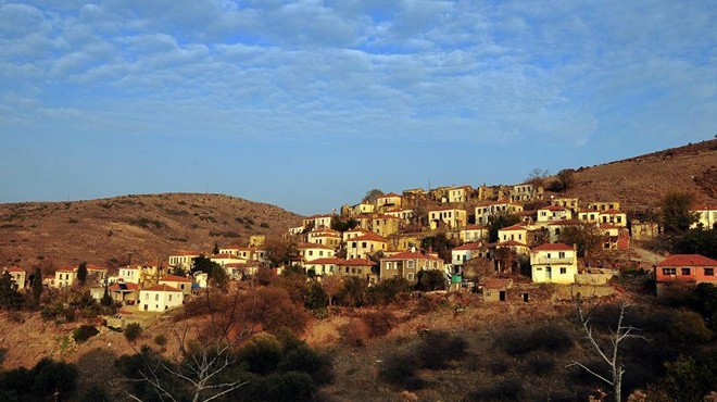 Resmi Gazete'de yayımlandı... Zeytinyağı işlikleri koruma altında!