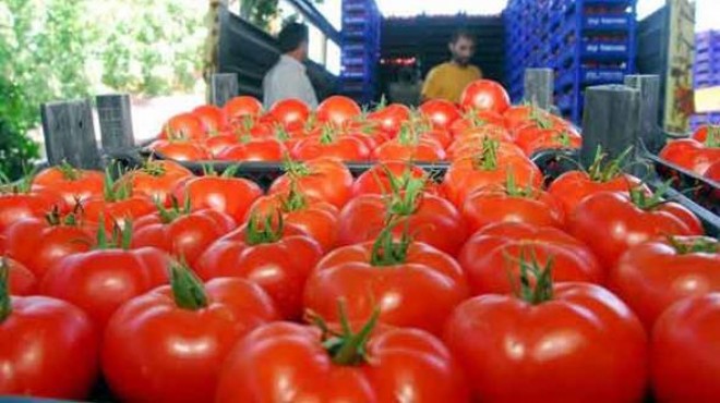 Rusya'dan domates açıklaması: Ambargo kalkmayacak!