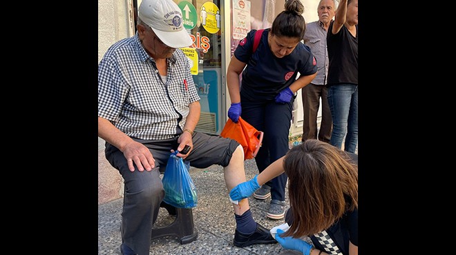 Söke'de sahipsiz köpek dehşet saçtı!