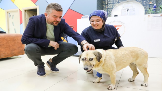 Saldırıya uğramıştı... Başkan Duman'dan can dosta ziyaret