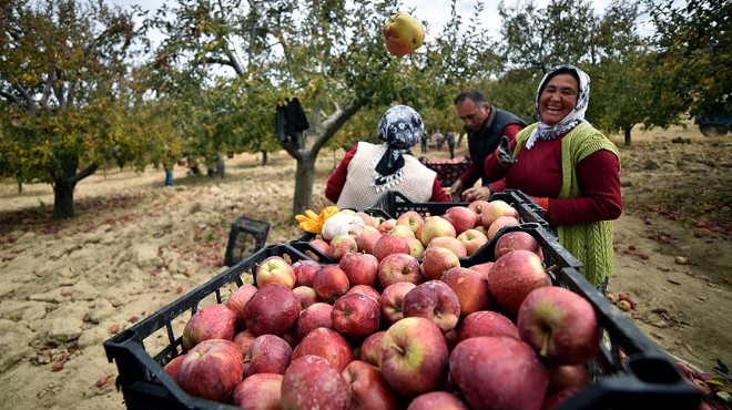 Tarımda bir ayda 4,9 milyon istihdam