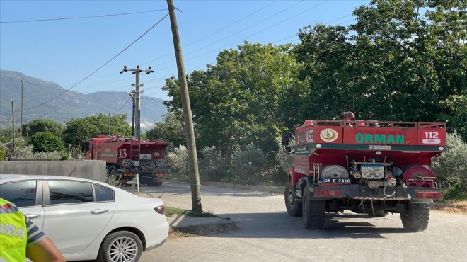 Tire'de ormanlık alanda yangın çıktı!