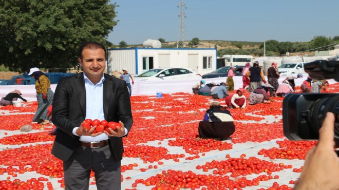 Torbalı'da Bardacık İnciri coğrafi işaret alacak