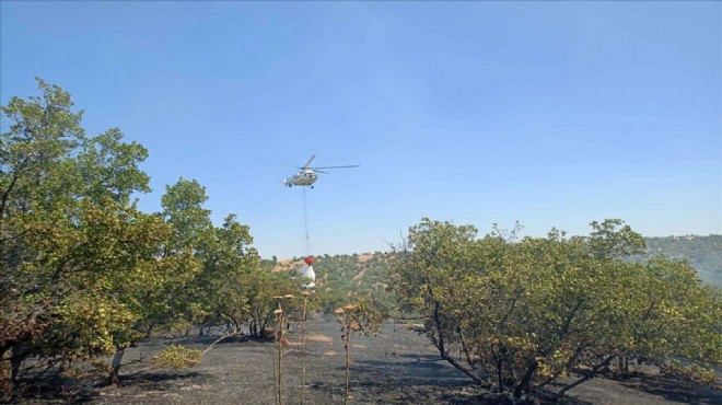 Uşak'ta meşelik alandaki yangın söndürüldü