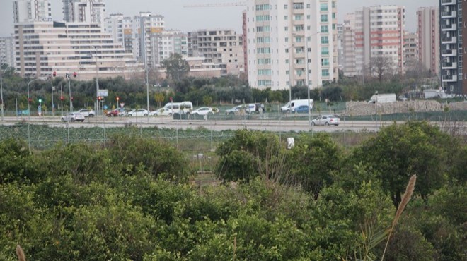 Yol kenarındaki arazilerde üretilen 'tarımsal' gıdalardaki tehlike