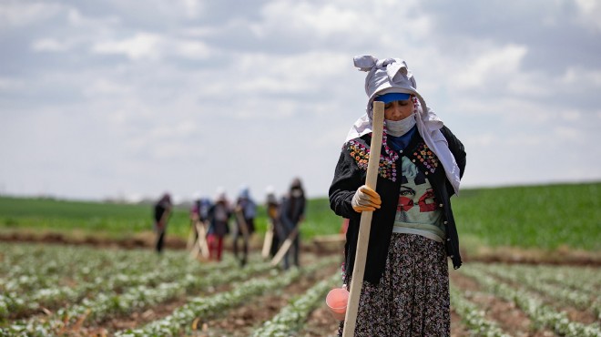 ZMO Başkanı KDV indirimini değerlendirdi: Fiyatların düşmesi için...